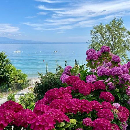 Front Lake Amazing View Manerba del Garda Buitenkant foto