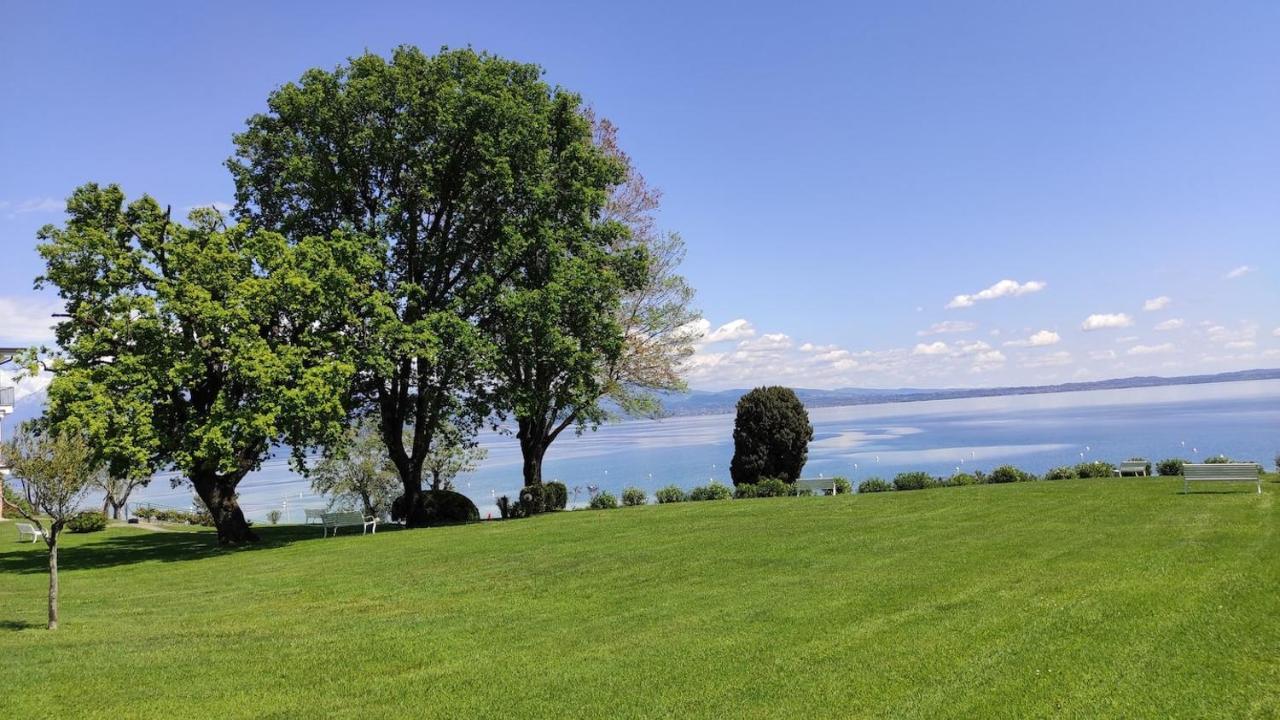 Front Lake Amazing View Manerba del Garda Buitenkant foto