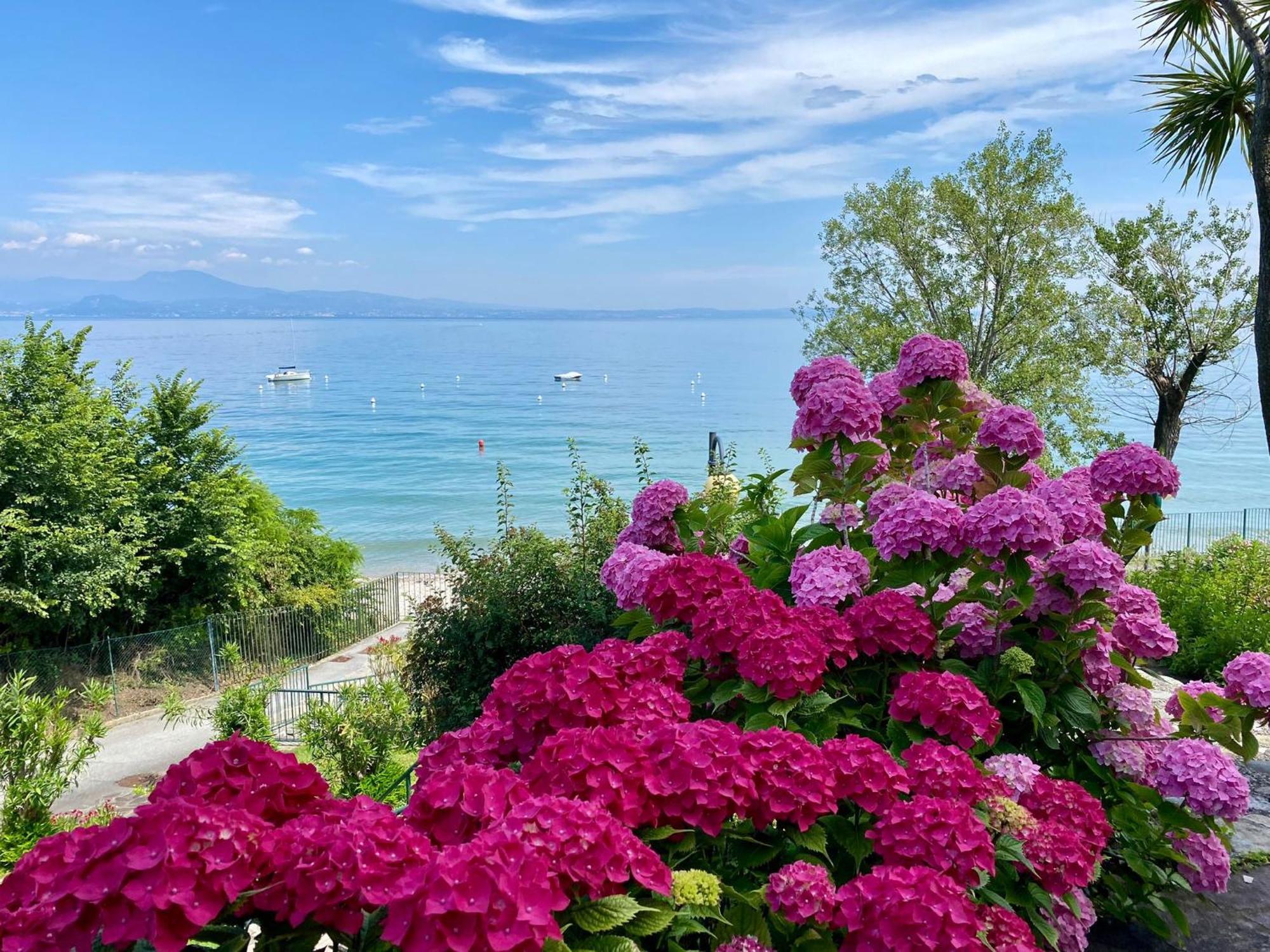 Front Lake Amazing View Manerba del Garda Buitenkant foto